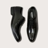  Giày Homme Torino - Brown/Black Patina Derby Shoes 