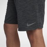 Nike Dri-Fit Training Erkek Shorts (SAM)