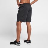 Nike Dri-Fit Training Erkek Shorts (SAM)