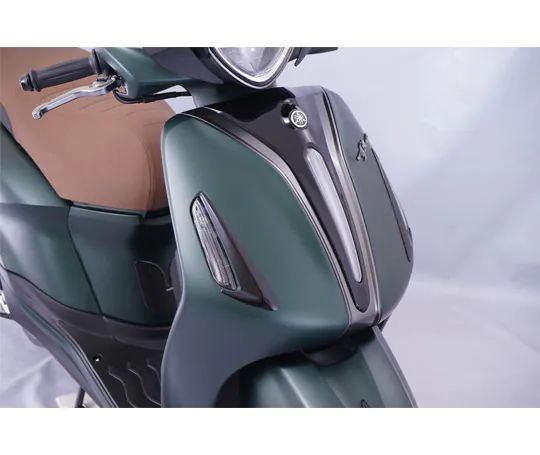 Ốp Đèn Xi-Nhan Trước Màu Đen Grande