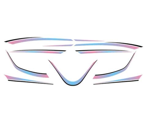  TEM TRANG TRÍ XE JANUS 