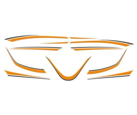  TEM TRANG TRÍ XE JANUS 