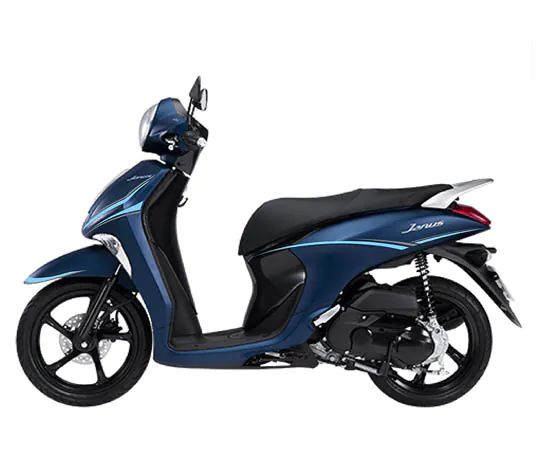 TEM TRANG TRÍ XE JANUS