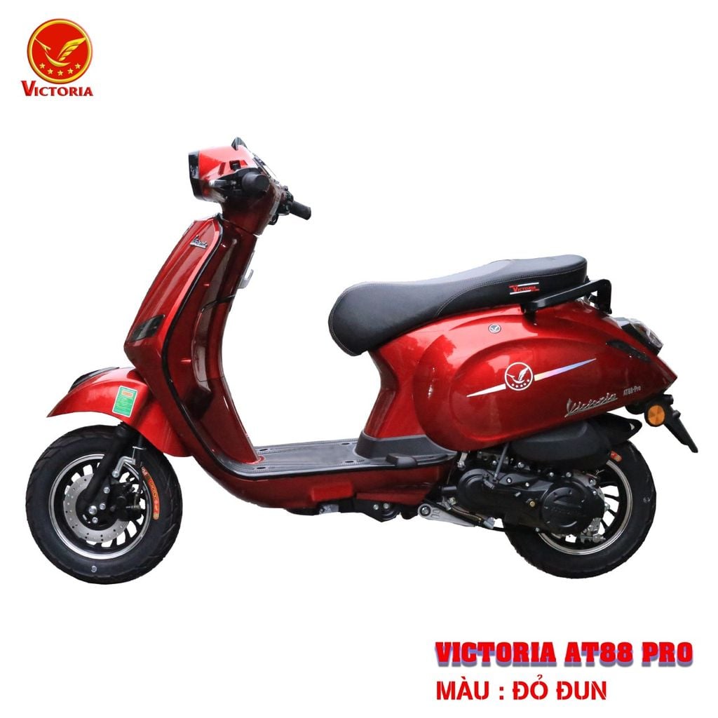 Victoria AT88 Pro 50cc