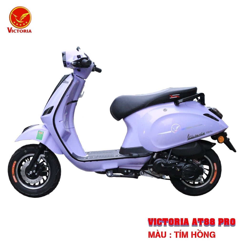 Victoria AT88 Pro 50cc