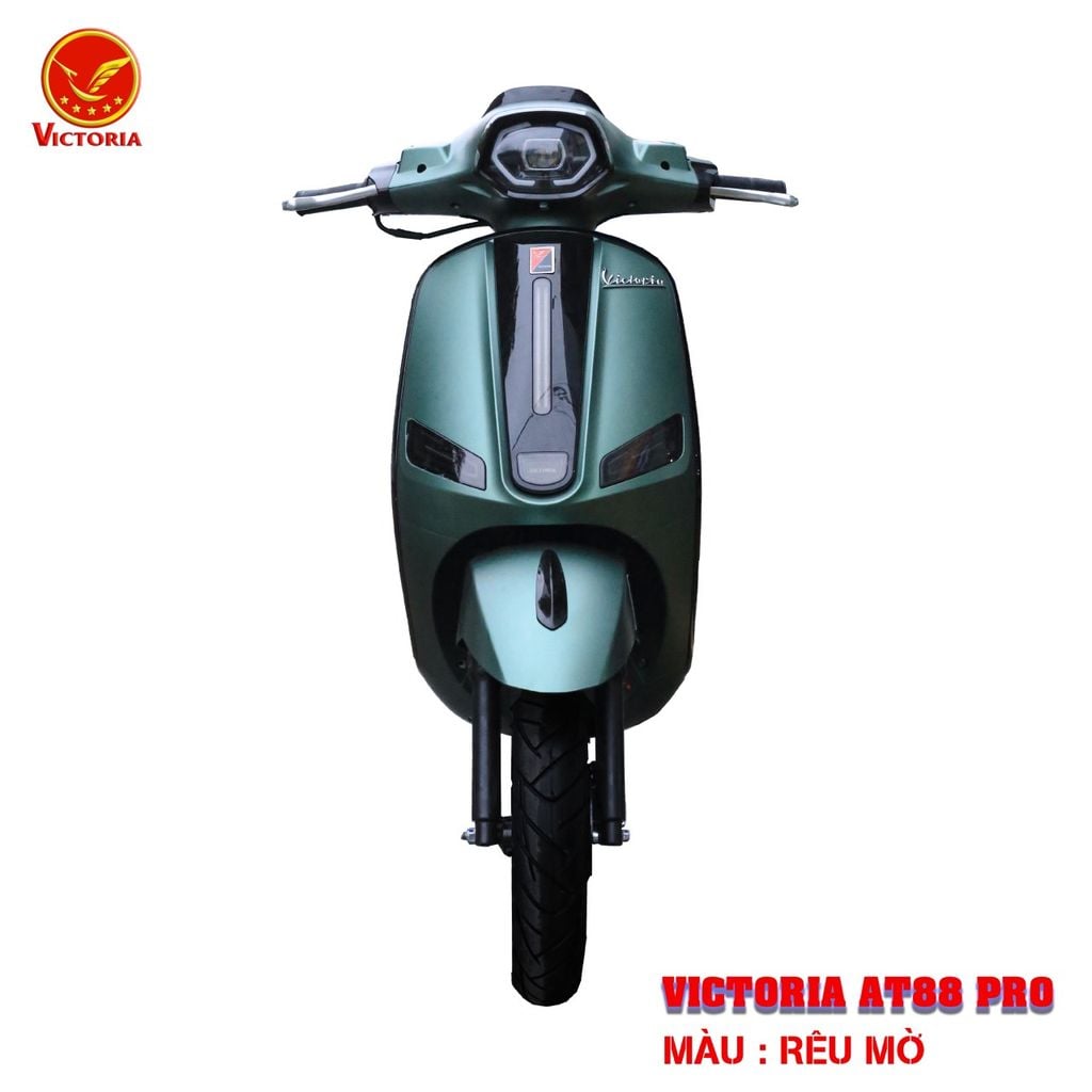 Victoria AT88 Pro 50cc