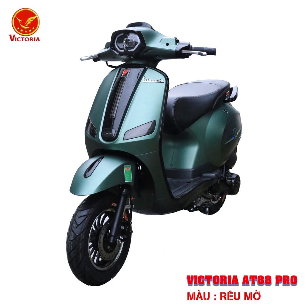 Victoria AT88 Pro 50cc