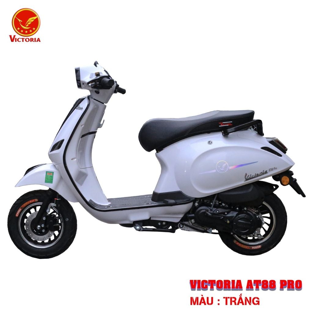 Victoria AT88 Pro 50cc