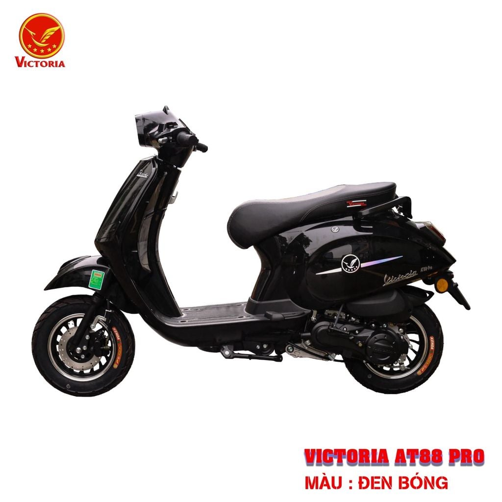 Victoria AT88 Pro 50cc