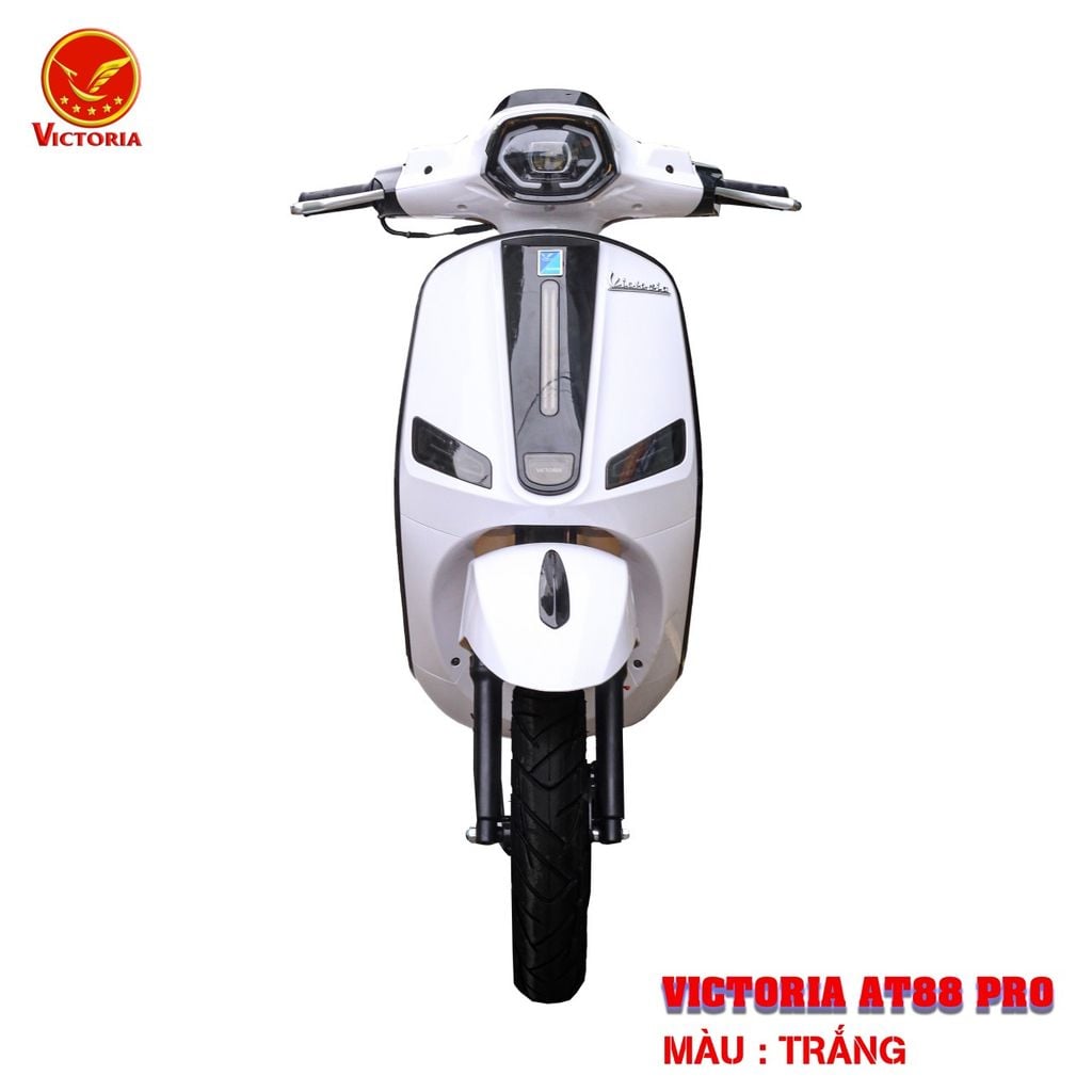 Victoria AT88 Pro 50cc