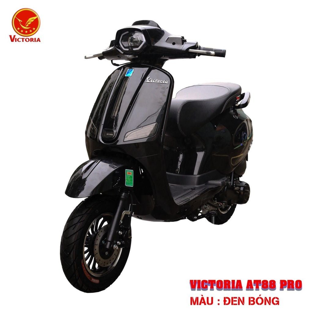 Victoria AT88 Pro 50cc