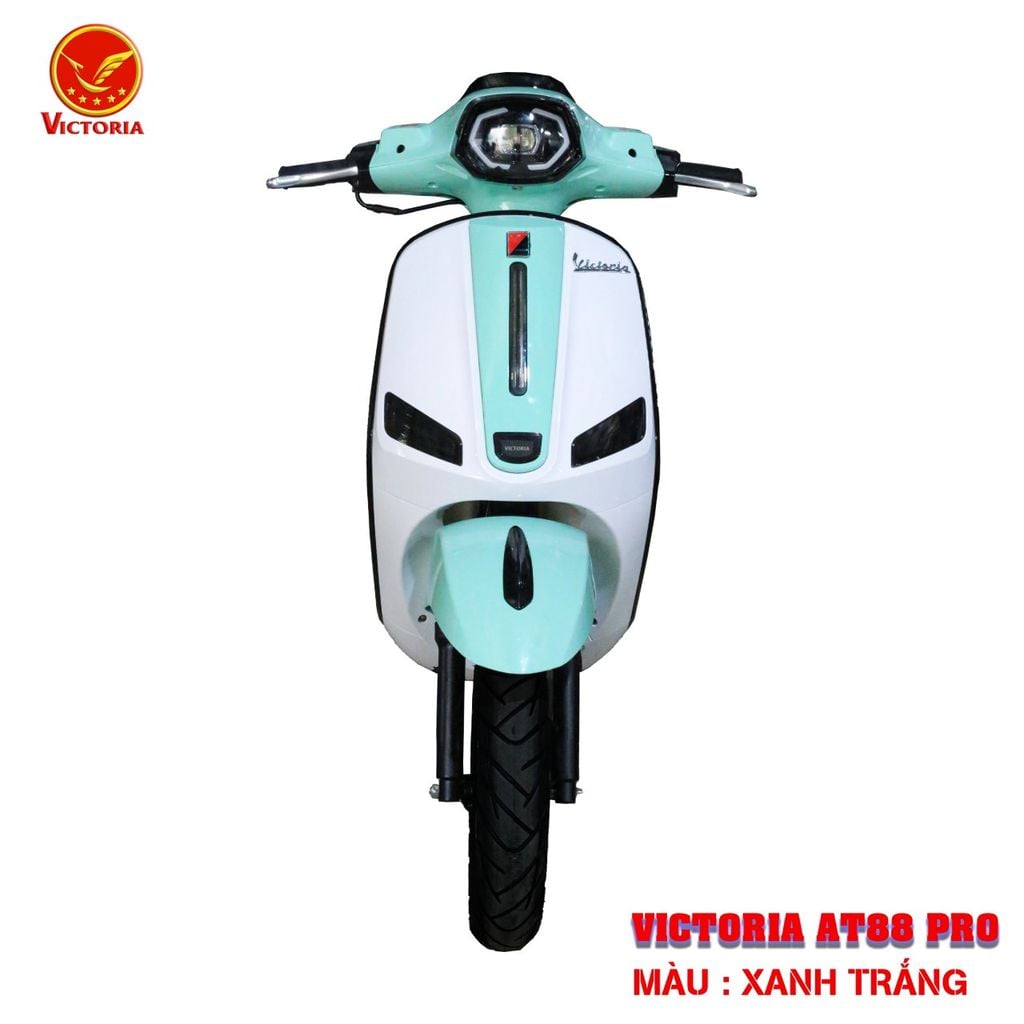 Victoria AT88 Pro 50cc