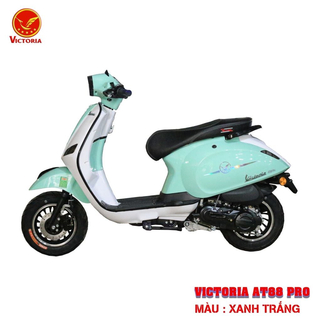 Victoria AT88 Pro 50cc