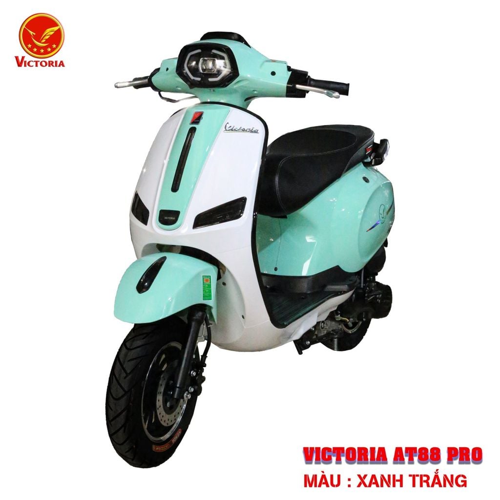 Victoria AT88 Pro 50cc