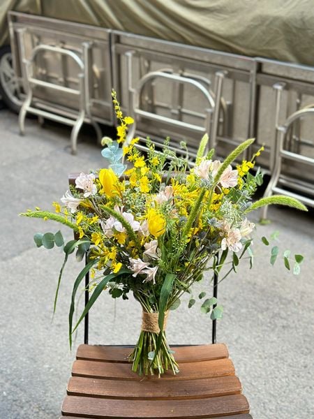  HB 859 HCD 