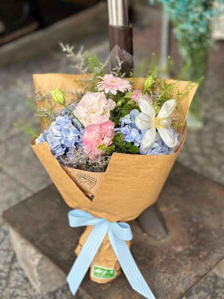  HB 550 TL 