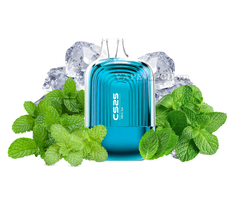 CS25 CS9000 Mint Ice - Vape Pod 1 Lần 9000 Hơi