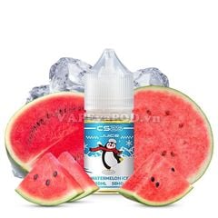 CS25 Salt Watermelon Ice 30ml - Tinh Dầu Vape Pod Salt Nic