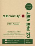  Brainup 1 