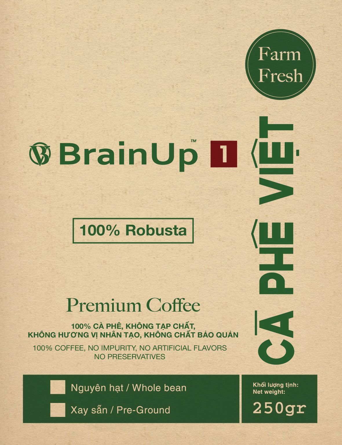  Brainup 1 