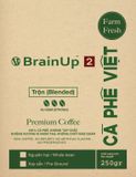  Brainup 2 