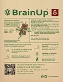  Brainup 5 