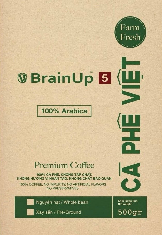  Brainup 5 