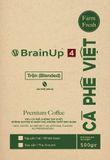  Brainup 4 