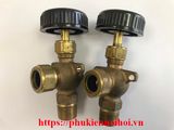 Water gauge glass valves w/Ball check