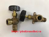 Water gauge glass valves w/Ball check