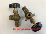 Water gauge glass valves w/Ball check