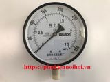Pressure Gauge