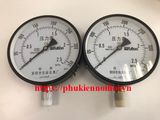 Pressure Gauge
