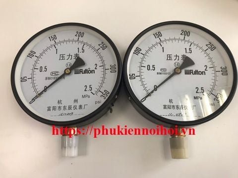 Pressure Gauge