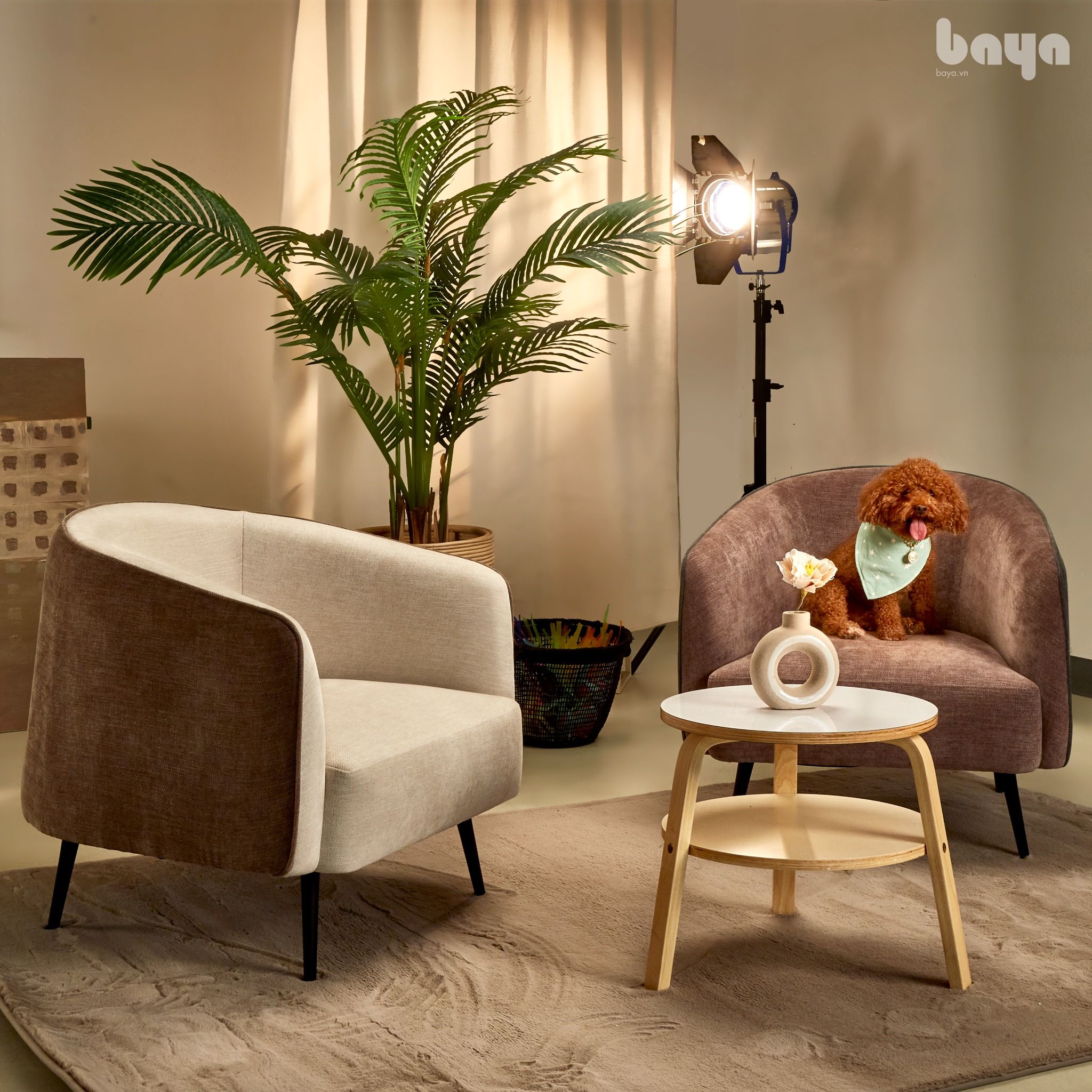  Ghế Armchair AURORA bọc vải 