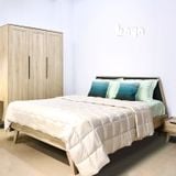 Giường gỗ sồi 1m6 LUCAS 