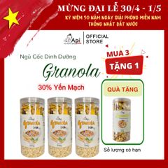 [ COMBO 3 TẶNG 1 ] Ngũ Cốc Granola Ăn Liền 30% Yến Mạch Api Food - Hổ Trợ Ăn Kiêng, Giảm Cân