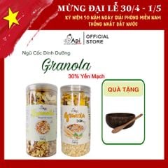 [COMBO 2 TẶNG 1 BỘ CHÉN GÁO DỪA] Ngũ Cốc Ăn Liền Granola 30% Yến Mạch _ ApiFood
