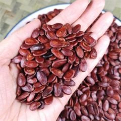 Hạt Dưa Vỏ Rang Không Màu Hùng Ký Thơm Ngon - Loại Đặc Biệt