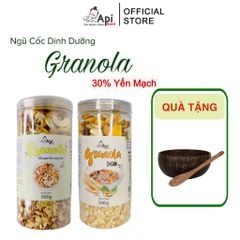[COMBO 2 TẶNG 1 BỘ CHÉN GÁO DỪA] Ngũ Cốc Ăn Liền Granola 30% Yến Mạch _ ApiFood