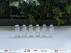 Bộ 6 bình cắm hoa - thủy tinh - hoa cúc baby