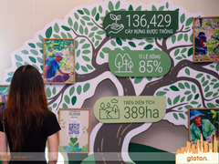 Backdrop Mẫu Số 10