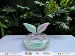 Phao PVC - Phao Đuôi cá - Pastel nhiều màu