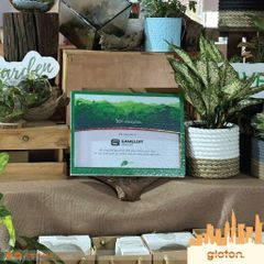 Tent Card Mẫu Số 4 (kèm sẵn bộ chân dựng)