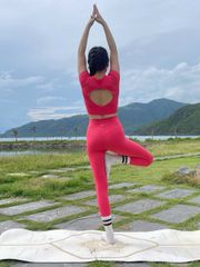 Set đồ quần áo thể thao nữ tập Yoga, Gym chéo khoét lưng chữ 0 Olona Sports RS12