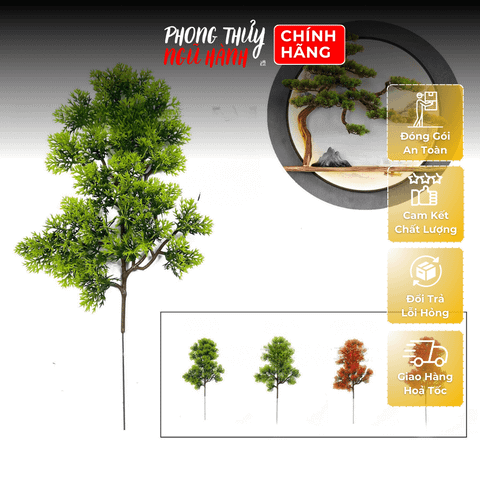 Sản phẩm nổi bật