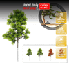  Cành Cây Lá Bách, lá Tùng Bằng Nhựa KT 15x36cm , Dùng Trang Trí Cây Cảnh 