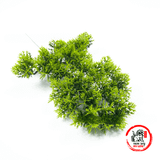  Cành Cây Lá Bách, lá Tùng Bằng Nhựa KT 15x36cm , Dùng Trang Trí Cây Cảnh 