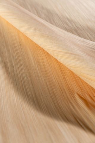  CÔNG NGHỆ ( EV / MẶT NHÂN TẠO ) 