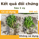  Combo phân hữu cơ khoáng cho Rau sạch vườn lớn 